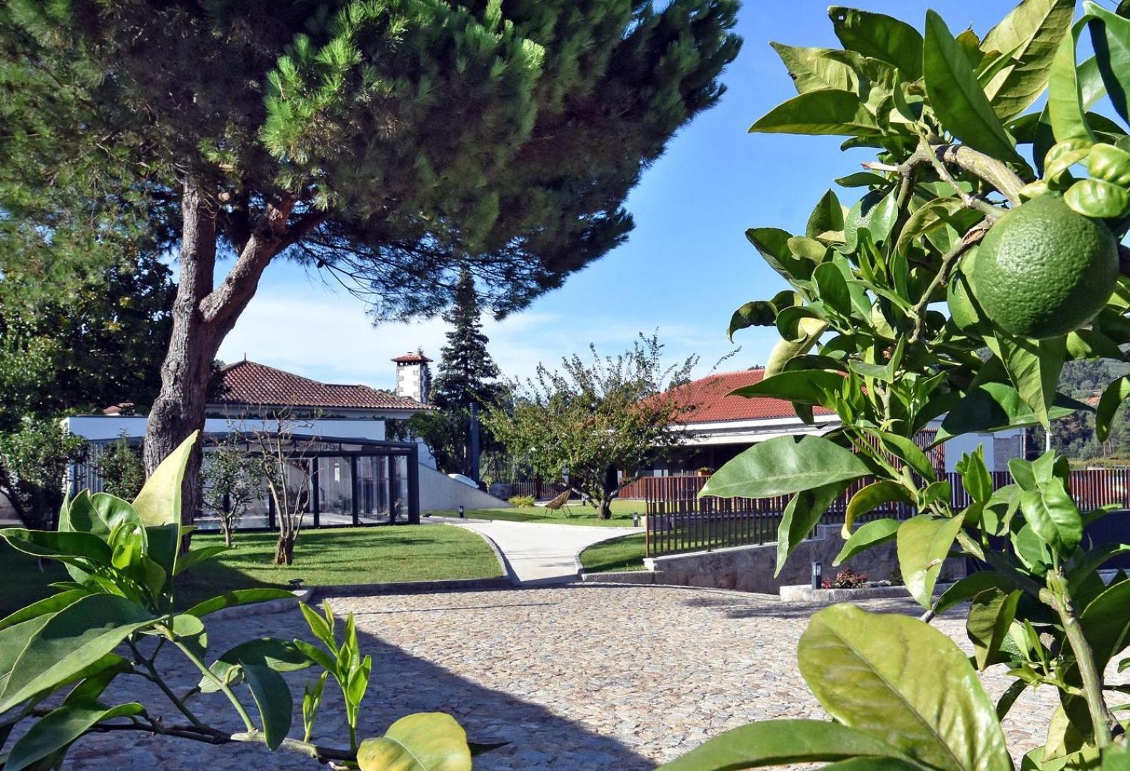Alminhas Da Mindua - Unique Experiences By Luxistay Vitorino dos Piães Eksteriør bilde