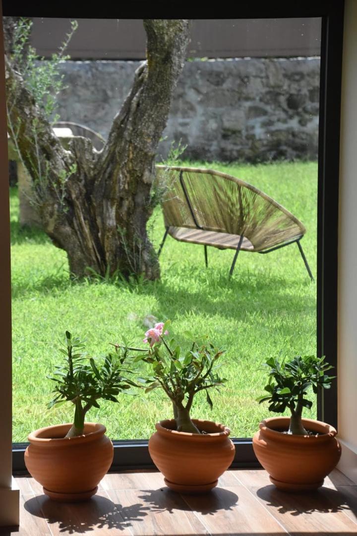 Alminhas Da Mindua - Unique Experiences By Luxistay Vitorino dos Piães Eksteriør bilde